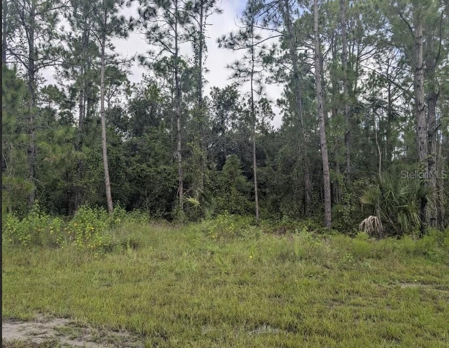 For Sale: $85,000 (0.53 acres)