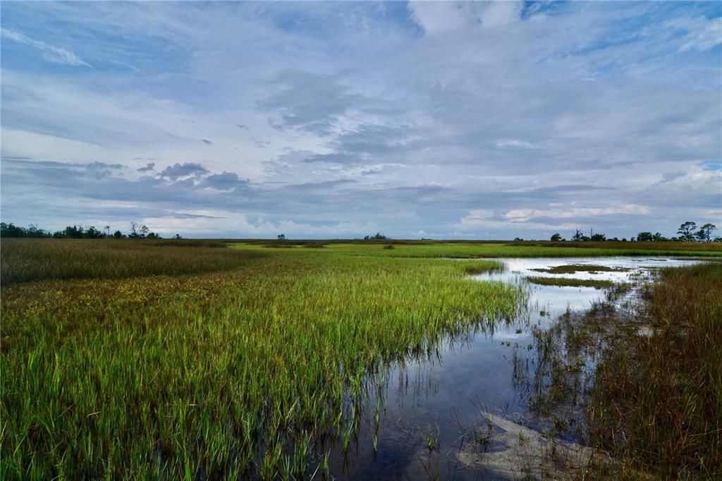 待售: $295,000 (94.55 acres)