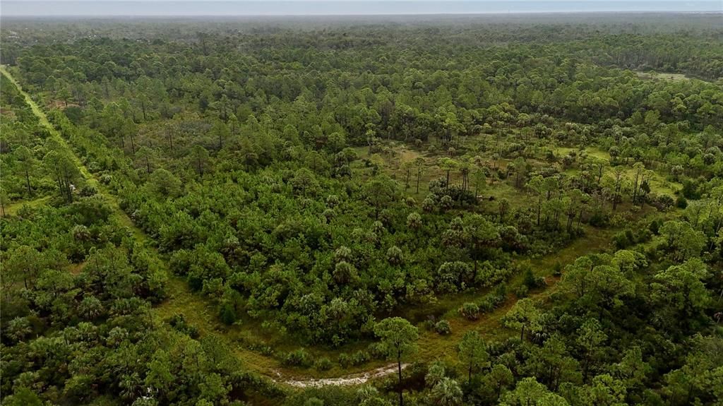 待售: $295,000 (94.55 acres)