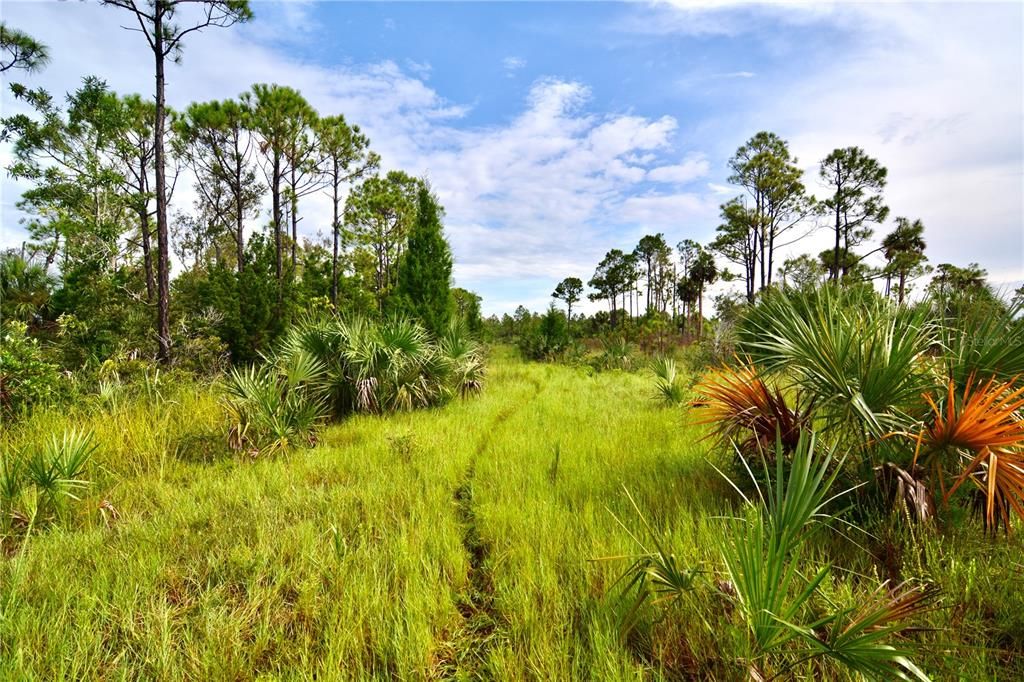 待售: $295,000 (94.55 acres)