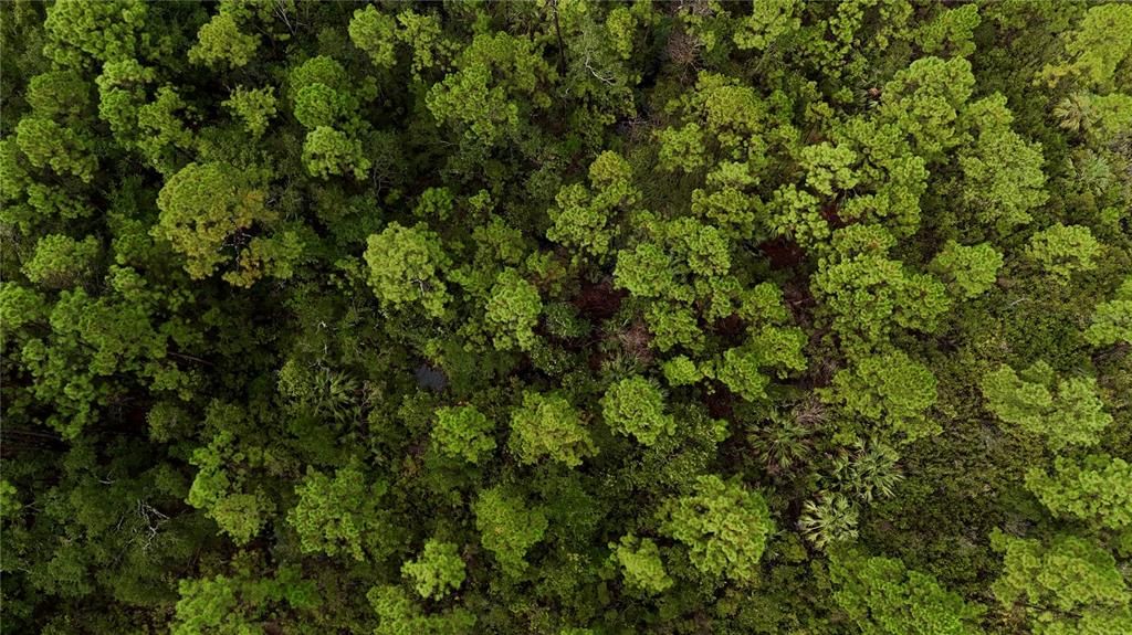 待售: $295,000 (94.55 acres)