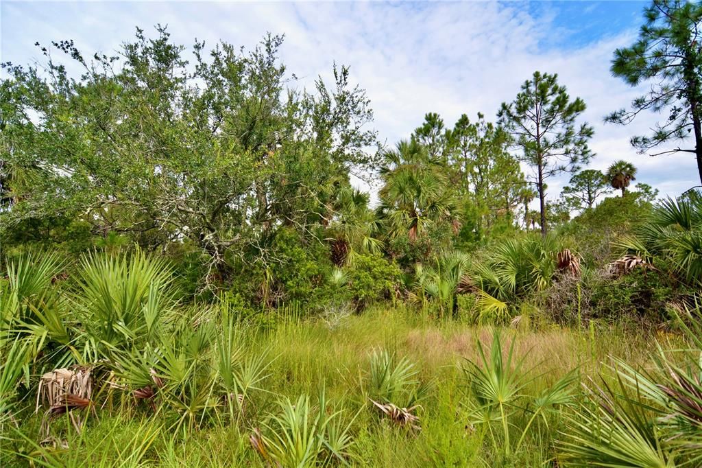 待售: $295,000 (94.55 acres)