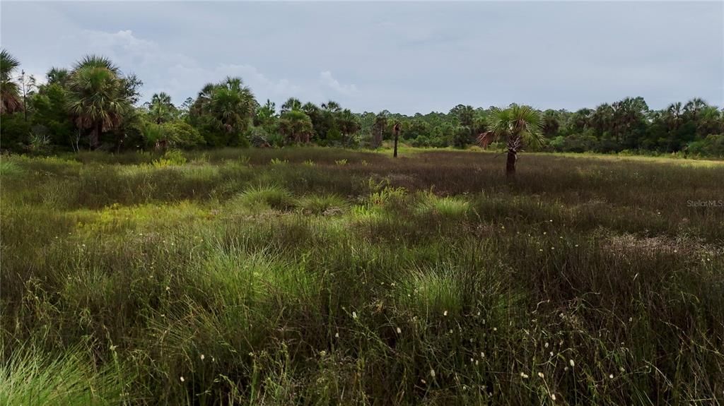 待售: $295,000 (94.55 acres)