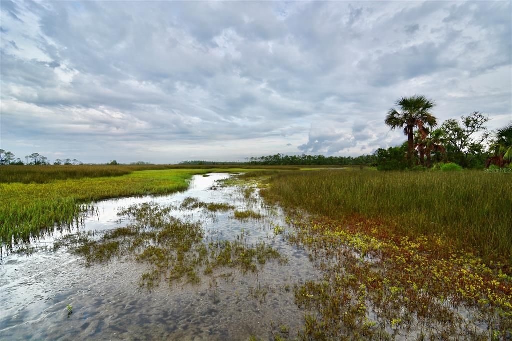 待售: $295,000 (94.55 acres)