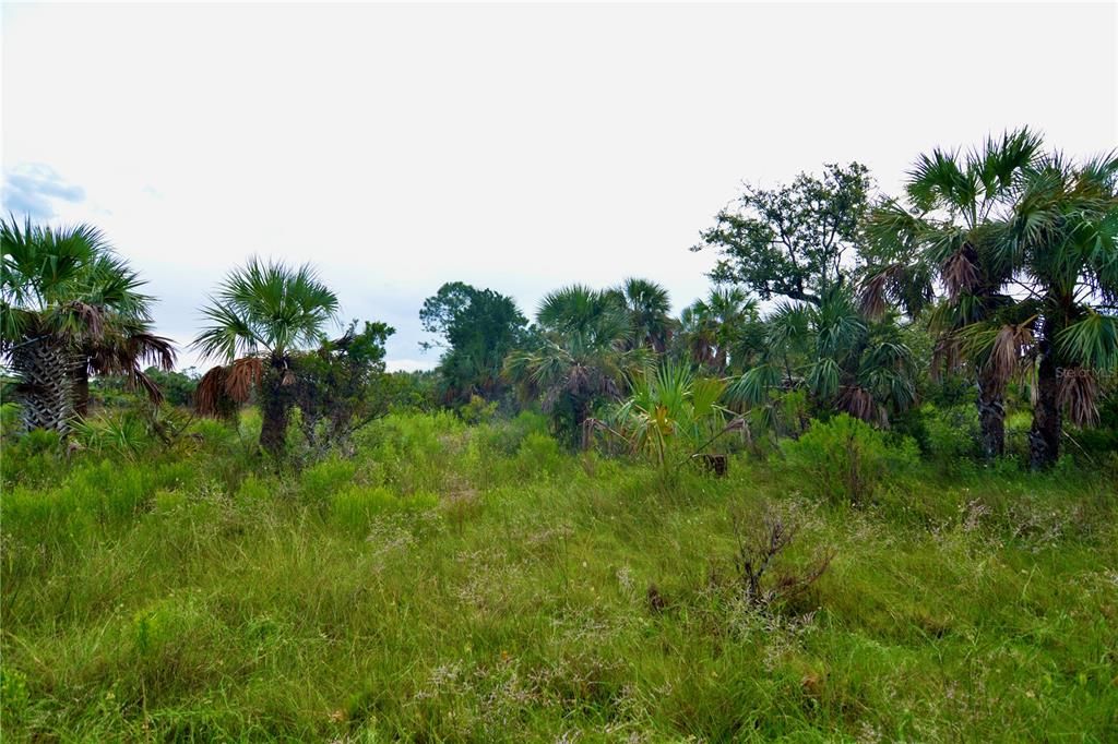 待售: $295,000 (94.55 acres)