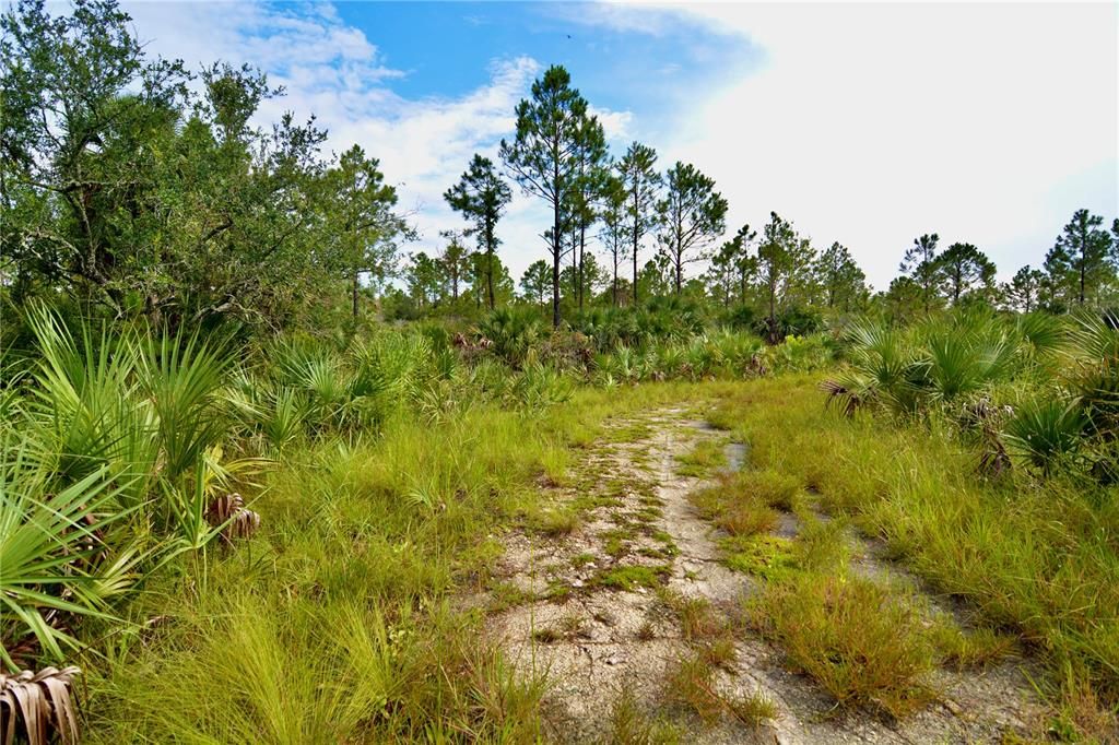 待售: $295,000 (94.55 acres)