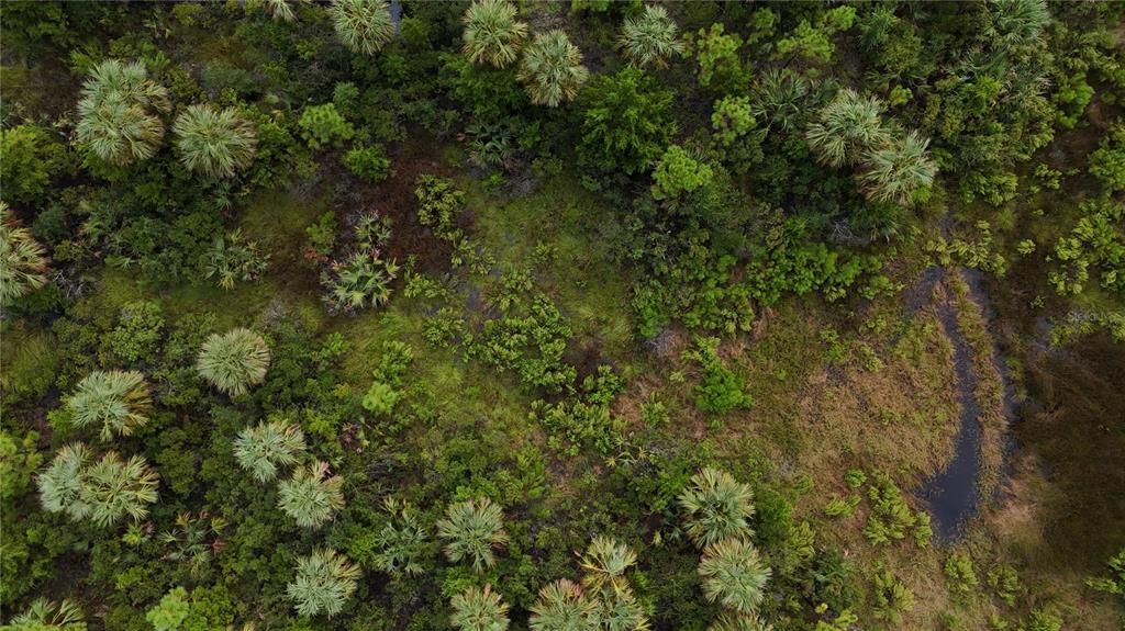 待售: $295,000 (94.55 acres)