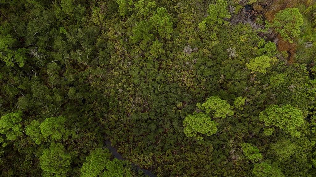 待售: $295,000 (94.55 acres)