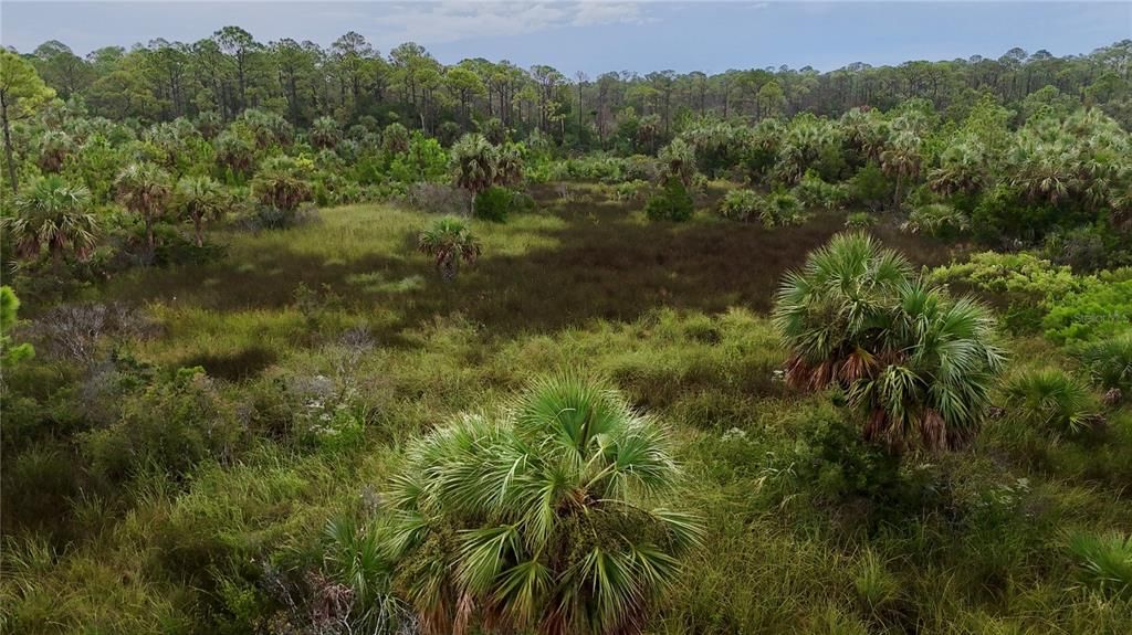 待售: $295,000 (94.55 acres)