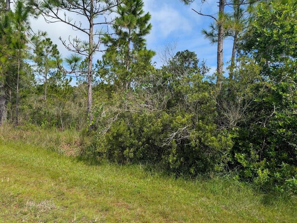 For Sale: $30,000 (0.50 acres)