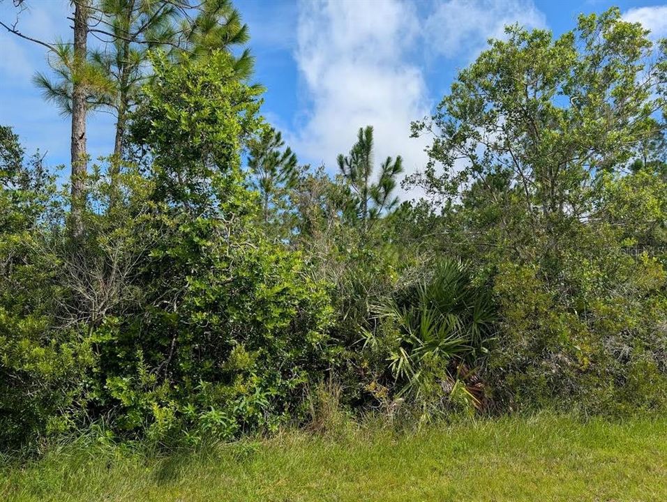 For Sale: $30,000 (0.50 acres)