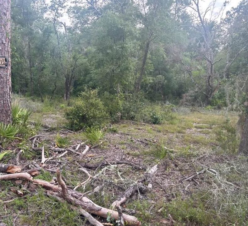 待售: $30,000 (1.42 acres)