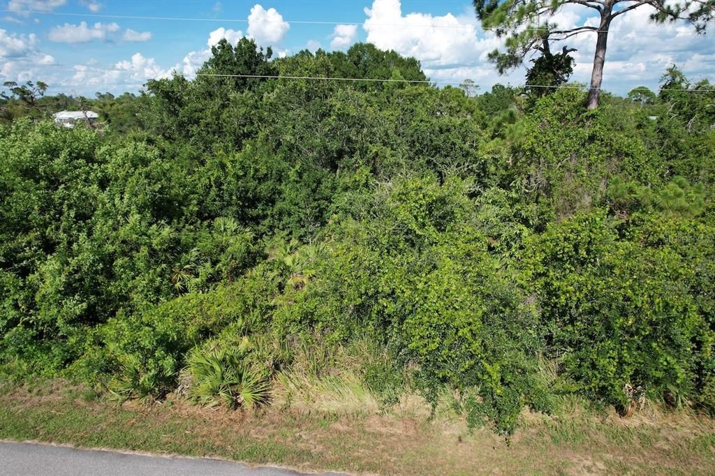 For Sale: $20,900 (0.26 acres)