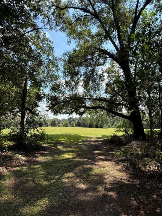 待售: $879,900 (3 贝兹, 3 浴室, 2319 平方英尺)