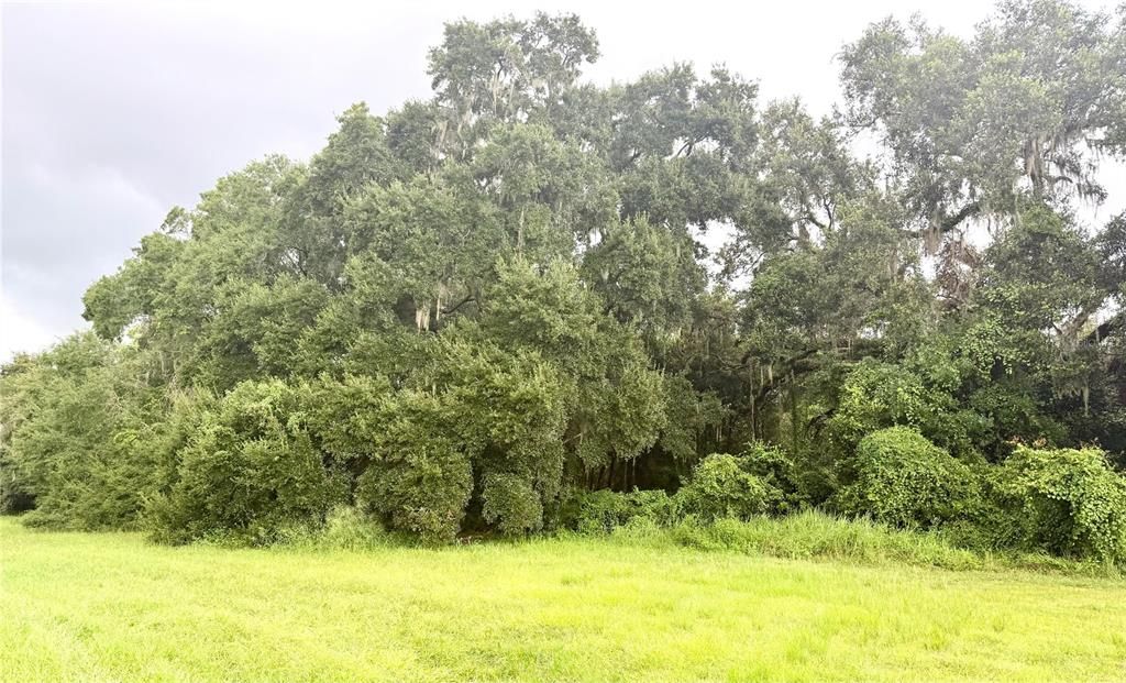 待售: $150,000 (2.93 acres)