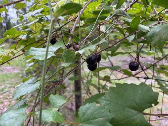 En Venta: $269,900 (3 camas, 2 baños, 1344 Pies cuadrados)