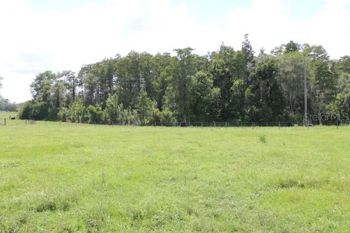 For Sale: $1,250,000 (45.57 acres)