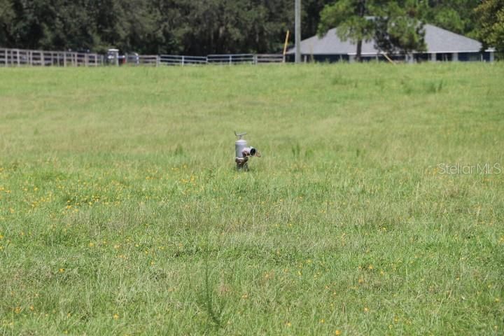 For Sale: $1,250,000 (45.57 acres)