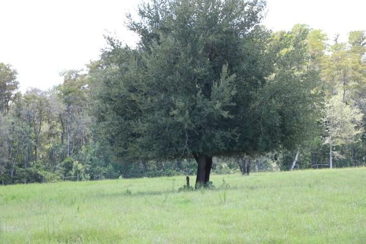 For Sale: $1,250,000 (45.57 acres)