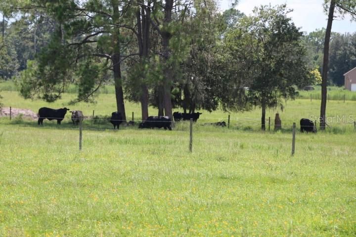 For Sale: $1,250,000 (45.57 acres)
