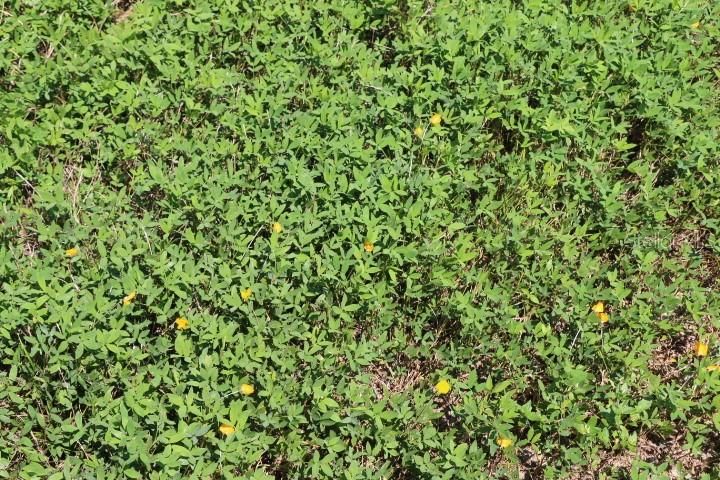For Sale: $1,250,000 (45.57 acres)