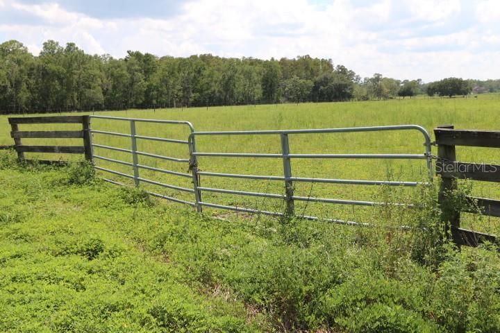 For Sale: $1,250,000 (45.57 acres)
