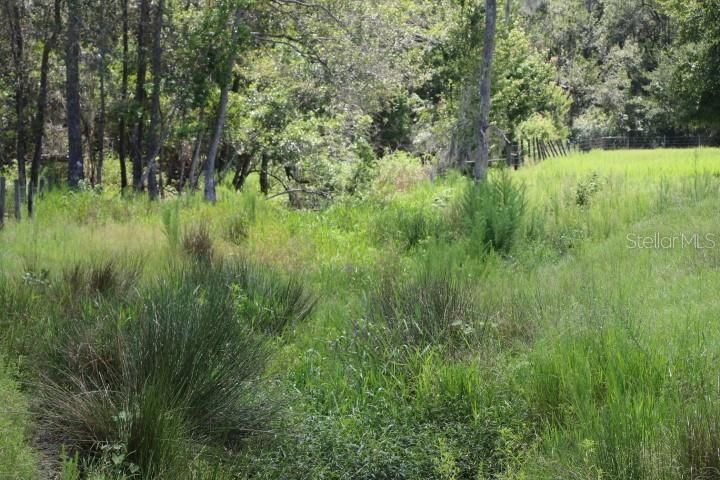 For Sale: $1,250,000 (45.57 acres)