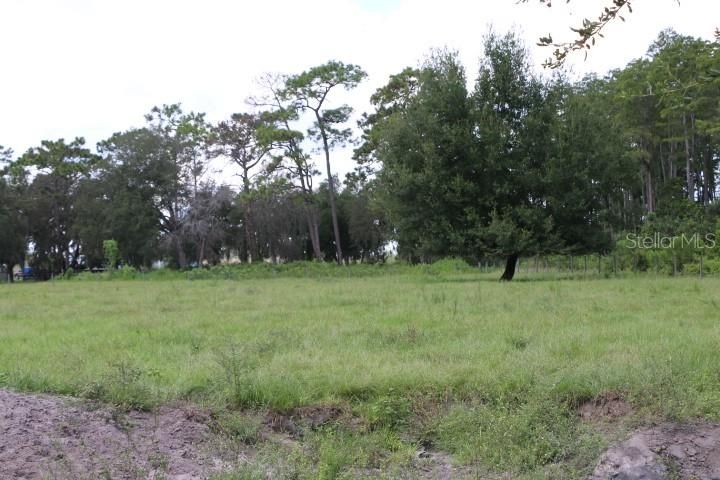 For Sale: $1,250,000 (45.57 acres)