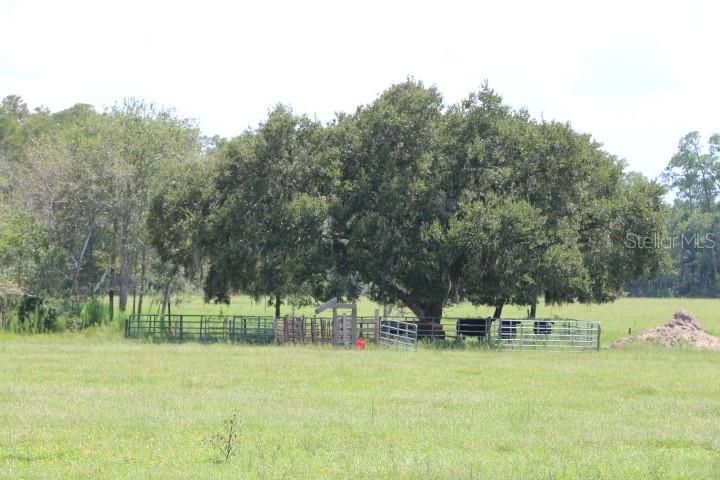 For Sale: $1,250,000 (45.57 acres)