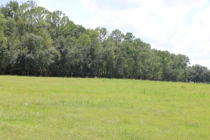 For Sale: $1,250,000 (45.57 acres)