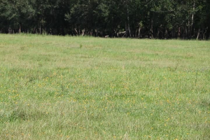For Sale: $1,250,000 (45.57 acres)