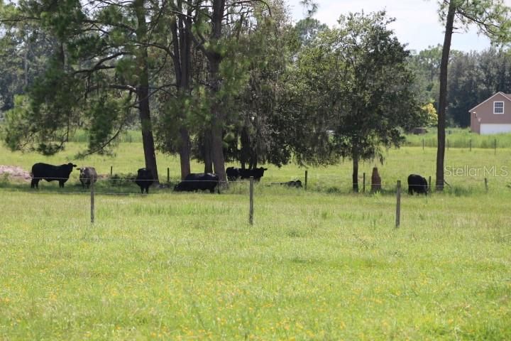 For Sale: $1,250,000 (45.57 acres)