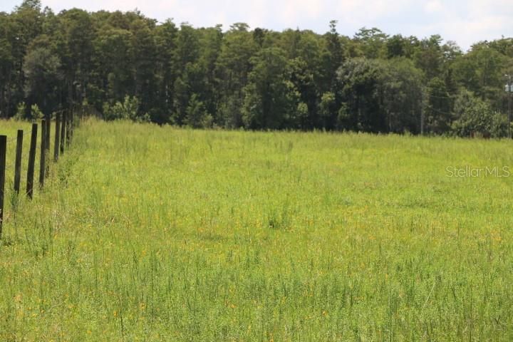 For Sale: $1,250,000 (45.57 acres)