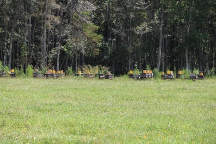 For Sale: $1,250,000 (45.57 acres)