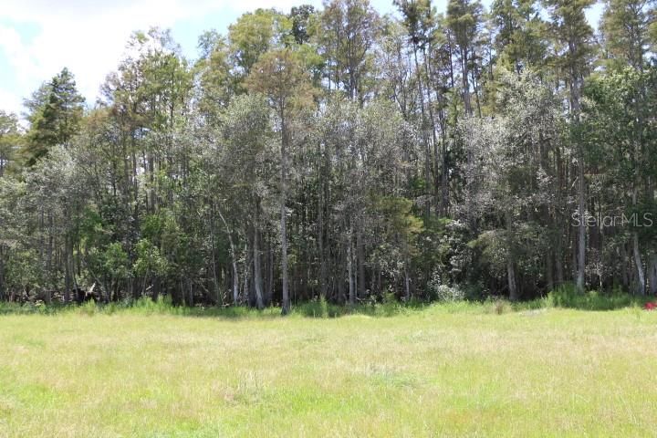 For Sale: $1,250,000 (45.57 acres)