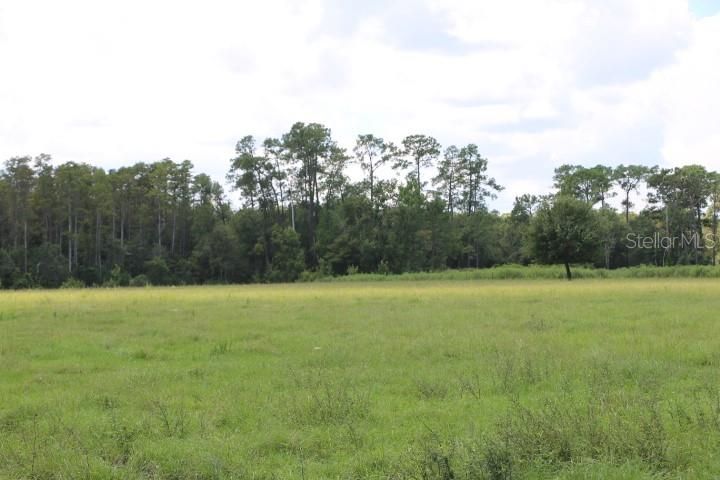 For Sale: $1,250,000 (45.57 acres)
