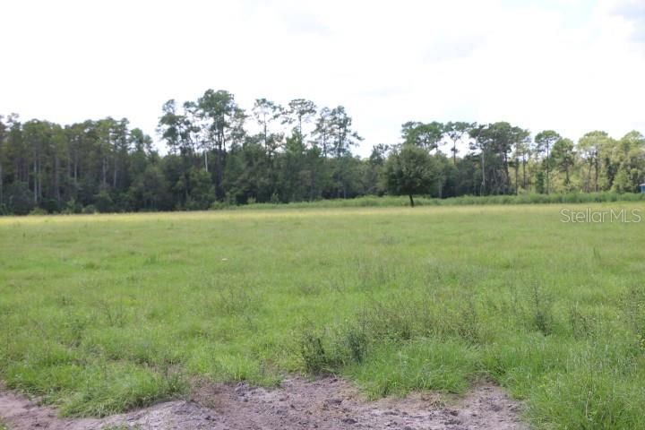 For Sale: $1,250,000 (45.57 acres)