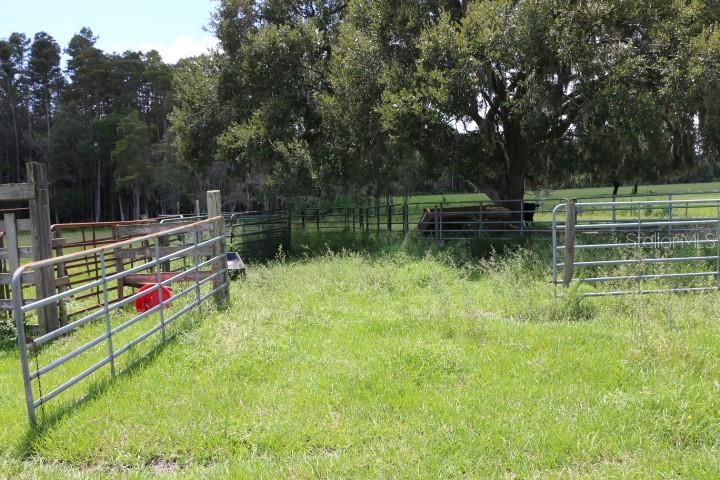 For Sale: $1,250,000 (45.57 acres)