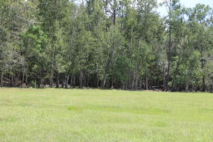 For Sale: $1,250,000 (45.57 acres)