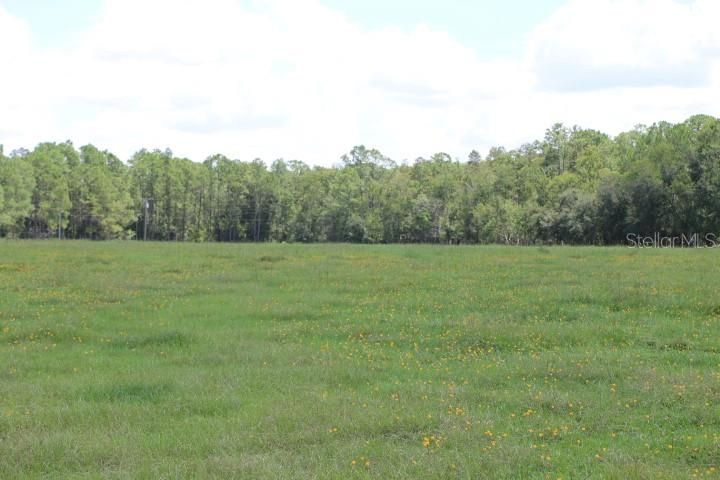 For Sale: $1,250,000 (45.57 acres)