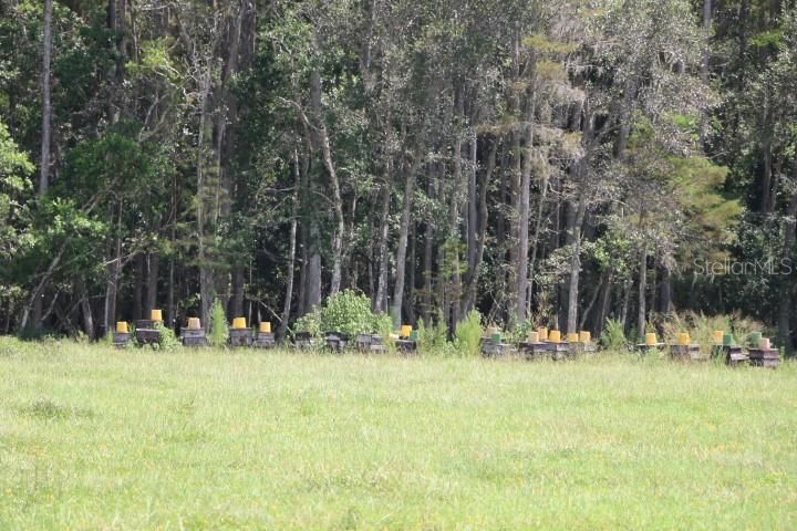 For Sale: $1,250,000 (45.57 acres)