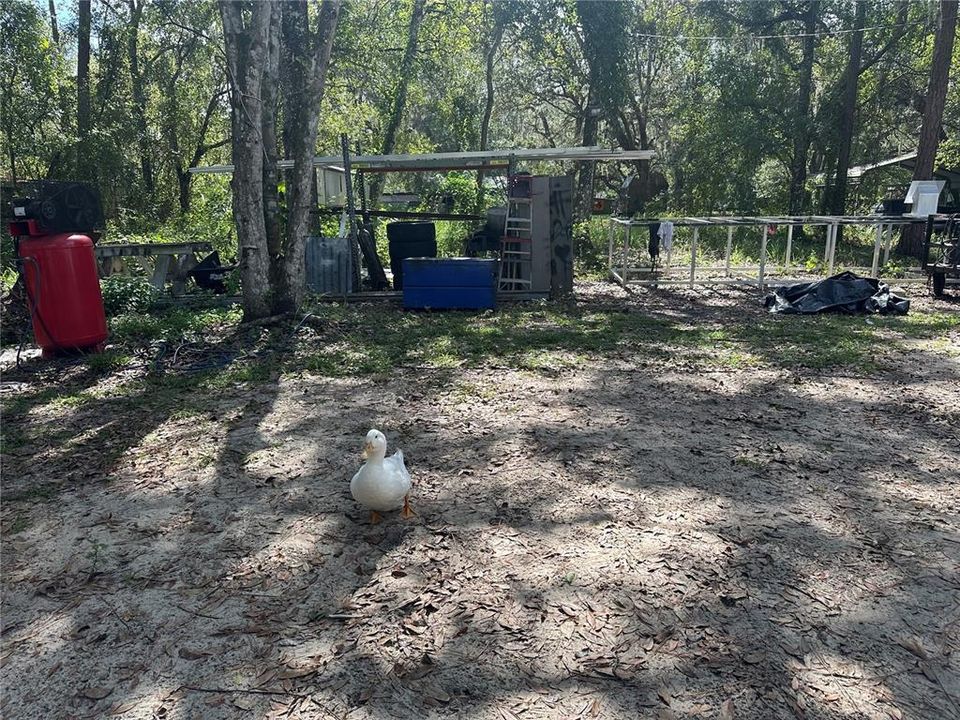 На продажу: $410,000 (4 спален, 2 ванн, 1978 Квадратных фут)