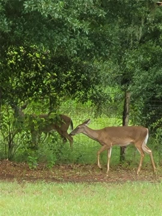 En Venta: $450,000 (4 camas, 2 baños, 2052 Pies cuadrados)