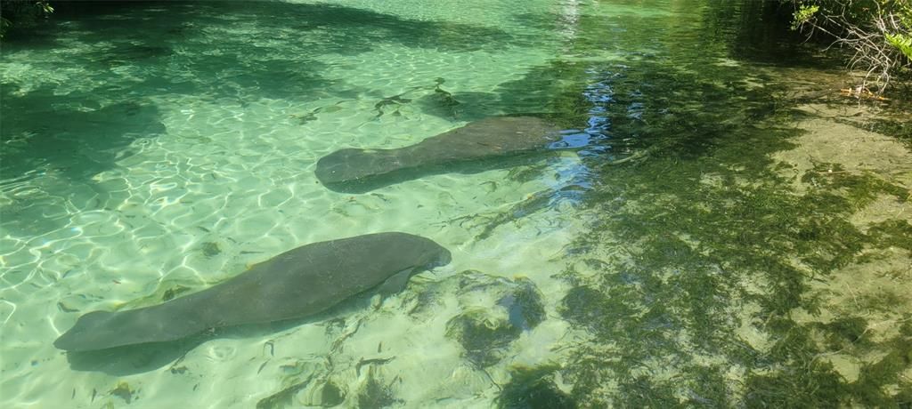 En Venta: $450,000 (4 camas, 2 baños, 2052 Pies cuadrados)