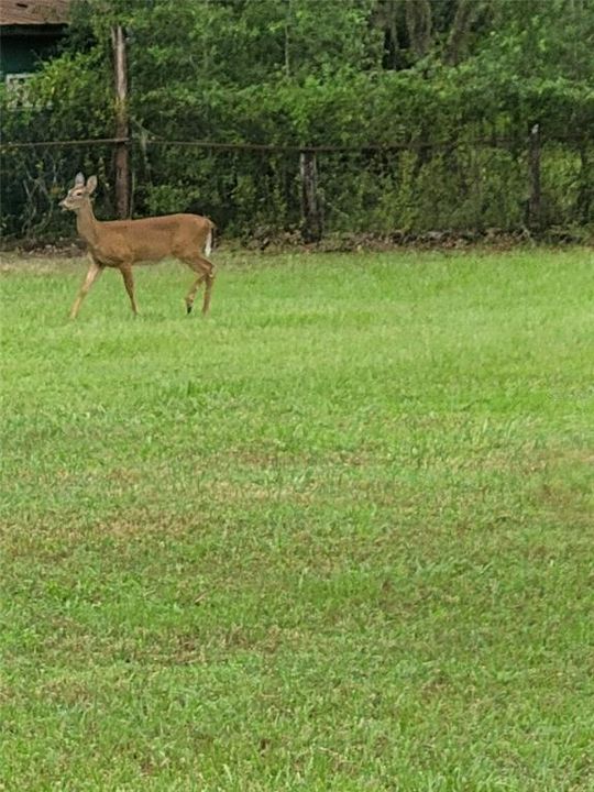 En Venta: $450,000 (4 camas, 2 baños, 2052 Pies cuadrados)