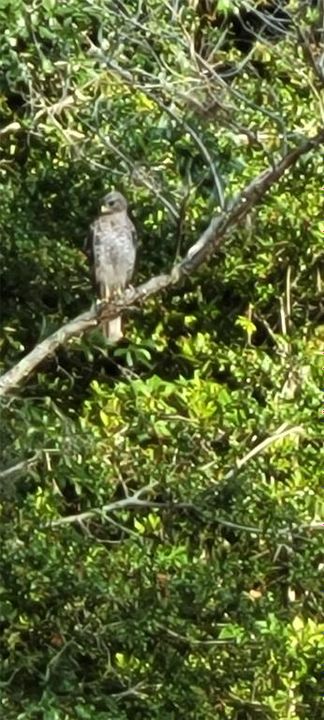 En Venta: $450,000 (4 camas, 2 baños, 2052 Pies cuadrados)