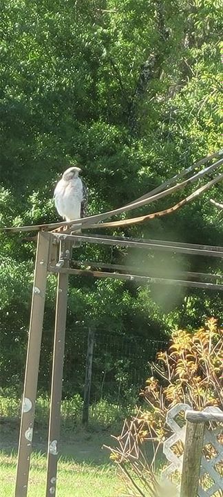 En Venta: $450,000 (4 camas, 2 baños, 2052 Pies cuadrados)