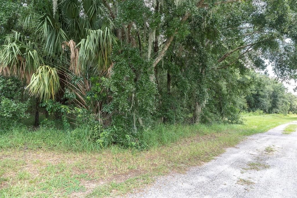 合同活跃: $385,000 (5.15 acres)