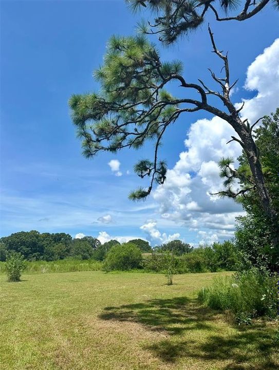 待售: $170,000 (2.48 acres)