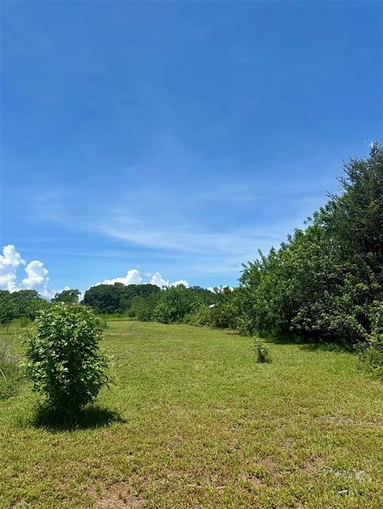 待售: $170,000 (2.48 acres)